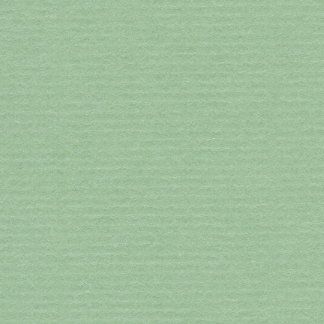 Particolare di carta d'artista Hahnemüle Bugra verde chiaro