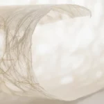 Carta washi